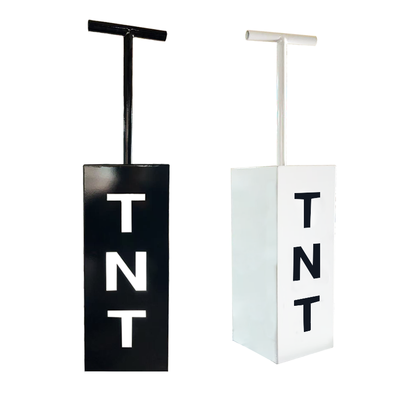 TNT 컨트롤 캐논 성별 공개 세트 대형 전자식 파우더 - Confetti Cannon Tube 리뷰 및 가격
